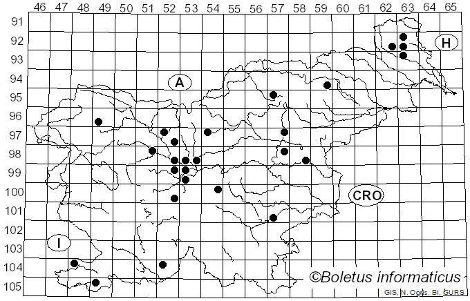 <i>Tricholoma focale</i> (Fr.) Ricken (1914)