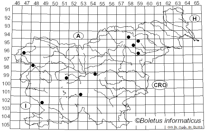 <i>Inosperma pisciodorum</i> (Donadini & Riousset) Matheny & Esteve-Rav. (2019)
