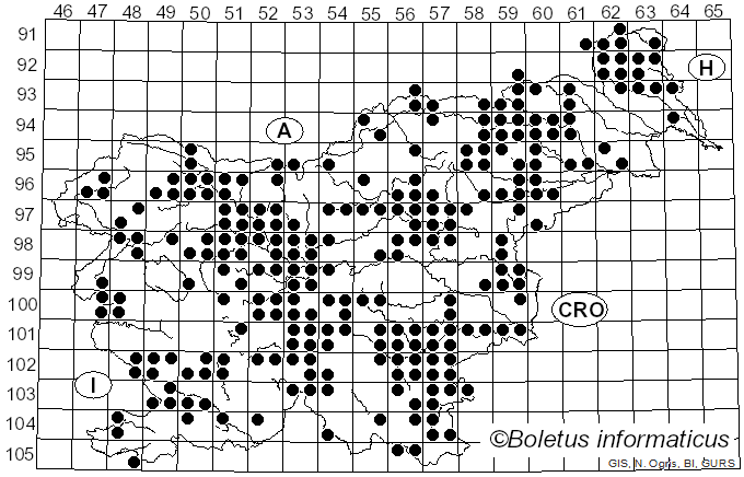 <i>Macrolepiota procera</i> (Scop.) Singer (1948)