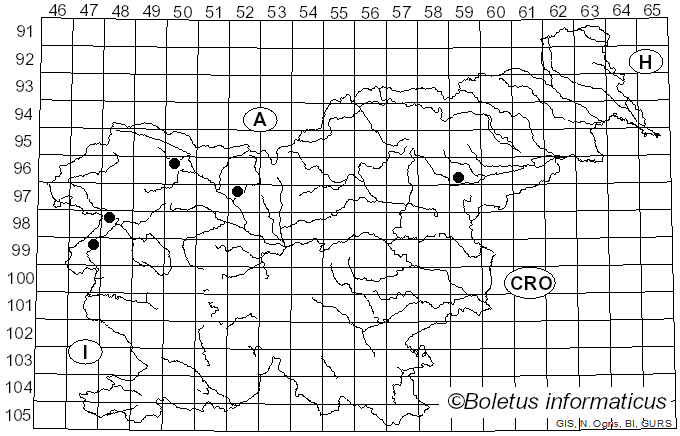 <i>Peniophora limitata</i> (Chaillet) Cooke (1879)