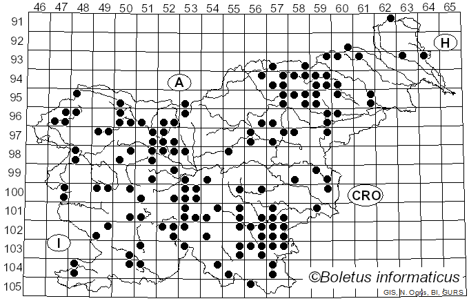 <i>Pycnoporus</i> P. Karst. (1881)