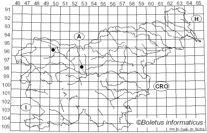 <i>Perichaena vermicularis</i> (Schwein.) Rostaf. (1876)