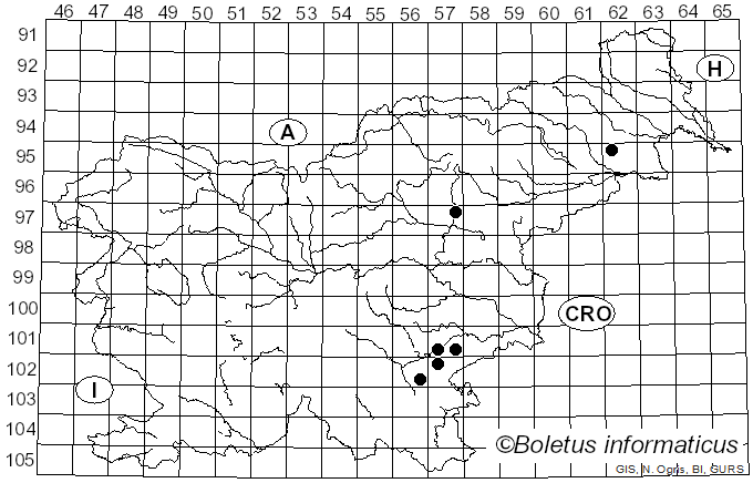 <i>Inocybe bresadolae</i> Massee (1904)