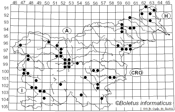 <i>Peniophora quercina</i> (Pers.) Cooke (1879)