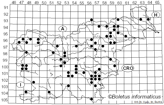 <i>Hebeloma mesophaeum</i> (Pers.) Quél. (1872)