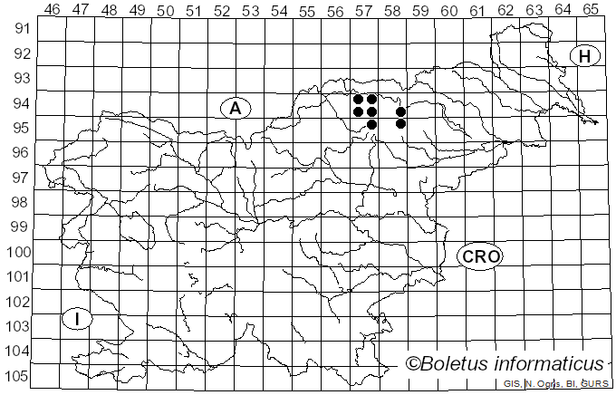 <i>Lecanora nemoralis</i> Makar. (1954)