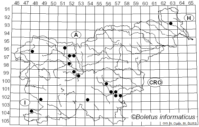 <i>Otidea concinna</i> (Pers.) Sacc. (1889)