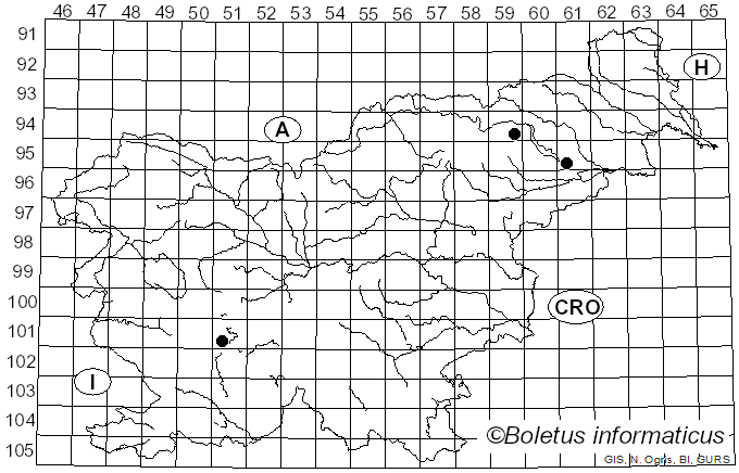 <i>Mycena ustalis</i> Aronsen & Maas Geest. (1989)