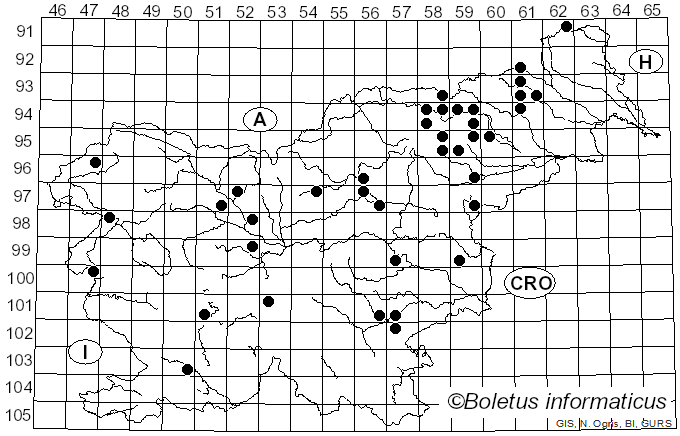 <i>Hebeloma longicaudum</i> (Pers.) P. Kumm. (1871)