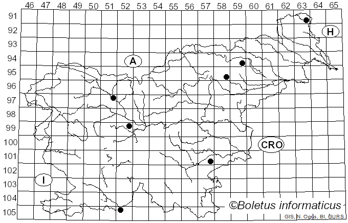 <i>Pholiota pinicola</i> Jacobsson (1986)