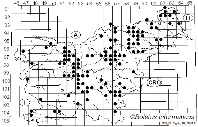 <i>Gomphidius roseus</i> Fr.