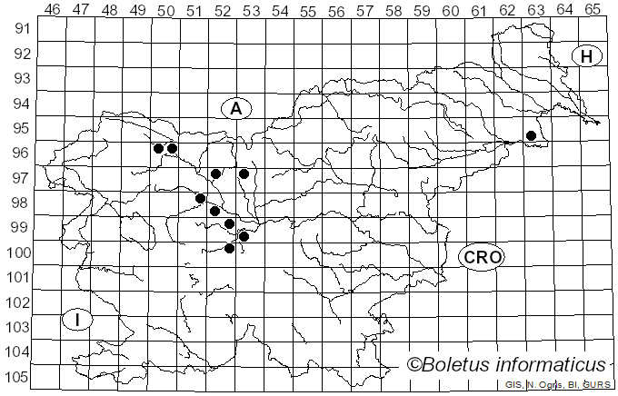 <i>Pucciniastrum</i> G.H. Otth (1861)
