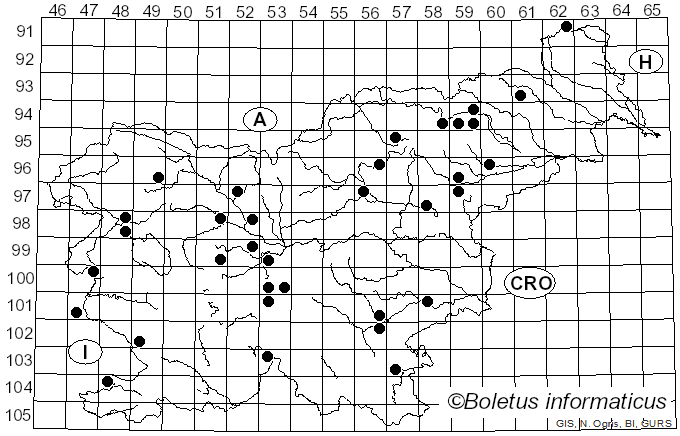 <i>Inocybe flocculosa</i> (Berk.) Sacc. (1887)