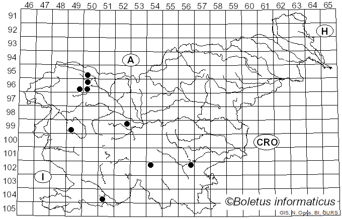 <i>Auriporia aurulenta</i> A. David, Tortić & Jelic (1975)