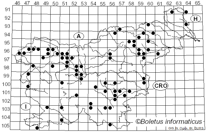 <i>Humaria hemisphaerica</i> (F.H. Wigg.) Fuckel (1869)