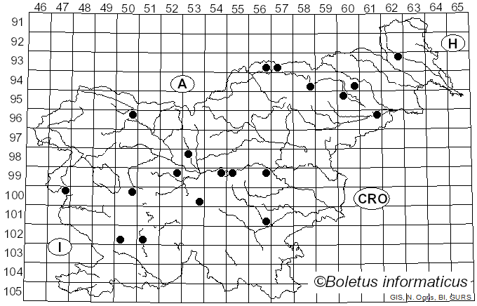 <i>Blumeriella jaapii</i> (Rehm) Arx (1961)