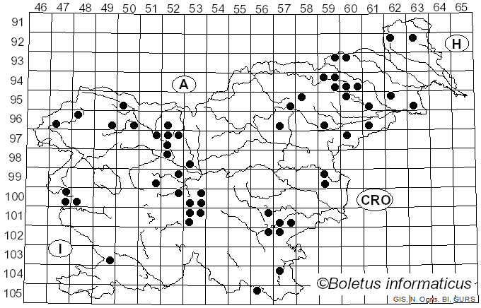 <i>Tubaria furfuracea</i> (Pers.) Gillet (1876)
