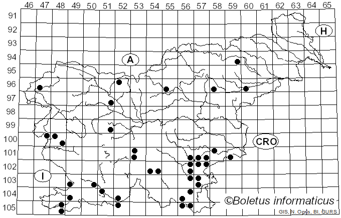 <i>Imperator</i> (Bertéa & Estadès) Assyov et al.