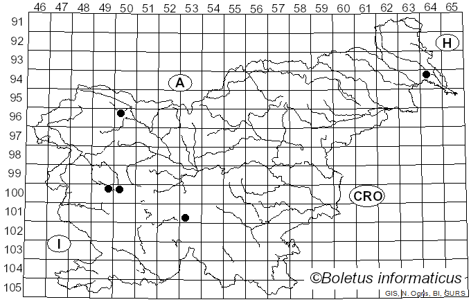 <i>Hymenoscyphus calyculus</i> (Fr.) W. Phillips (1887)