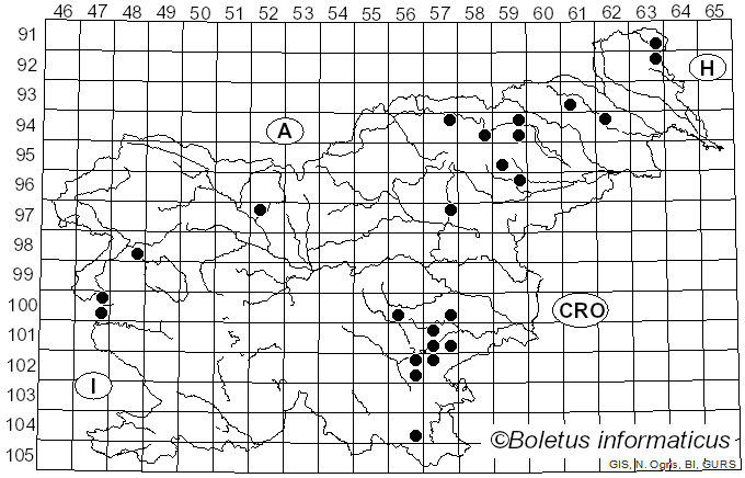 <i>Hebeloma leucosarx</i> P.D. Orton (1960)