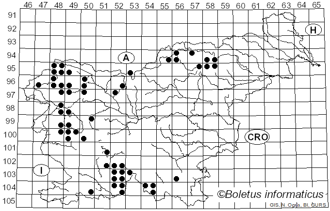 <i>Pertusaria albescens</i> var. <i>albescens</i> (Huds.) M. Choisy & Werner (1932)