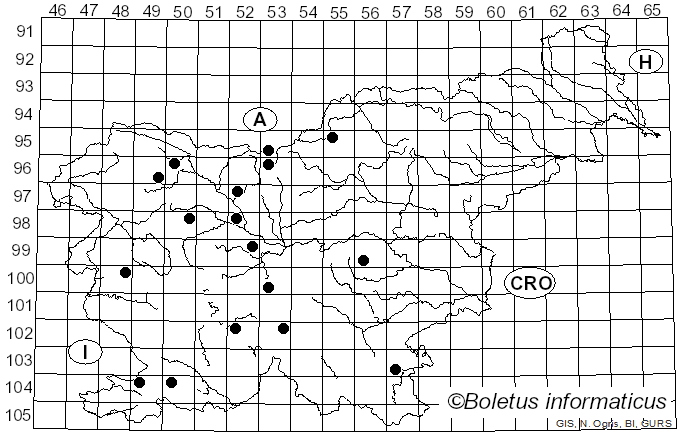 <i>Sebacina calcea</i> (Pers.) Bres. (1898)