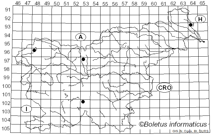 <i>Lachnellula occidentalis</i> (G.G. Hahn & Ayers) Dharne (1965)