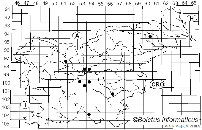 <i>Cortinarius grallipes</i> Fr.