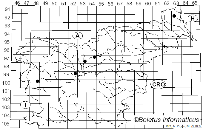<i>Elaphomyces muricatus</i> Fr. (1829)