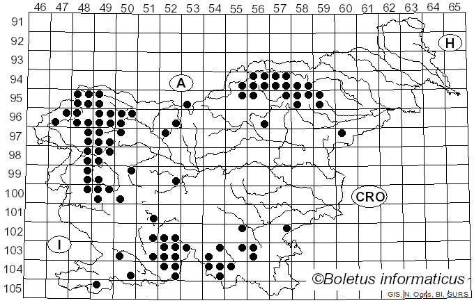 <i>Pertusaria</i> DC. (1805)
