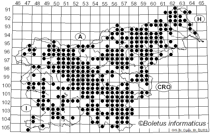 <i>Hypholoma</i> (Fr.) P. Kumm. (1871)