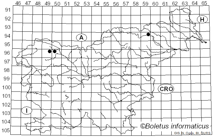 <i>Pseudoomphalina compressipes</i> (Peck) Singer (1962)
