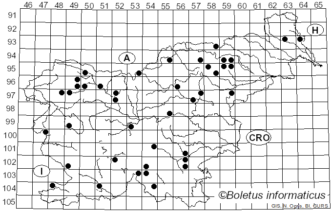 <i>Ramaria largentii</i> Marr & D.E. Stuntz (1974)