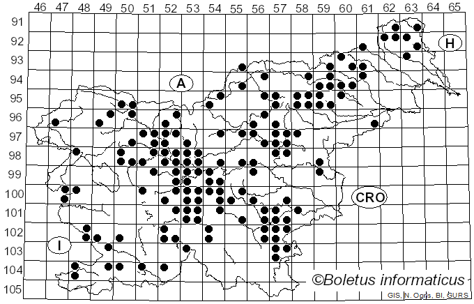 <i>Lactarius semisanguifluus</i> R. Heim & Leclair (1950)