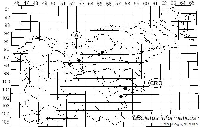 <i>Maublancomyces</i> Herter (1950)