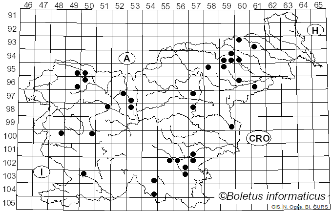<i>Hydropus</i> Kühner ex Singer (1948)
