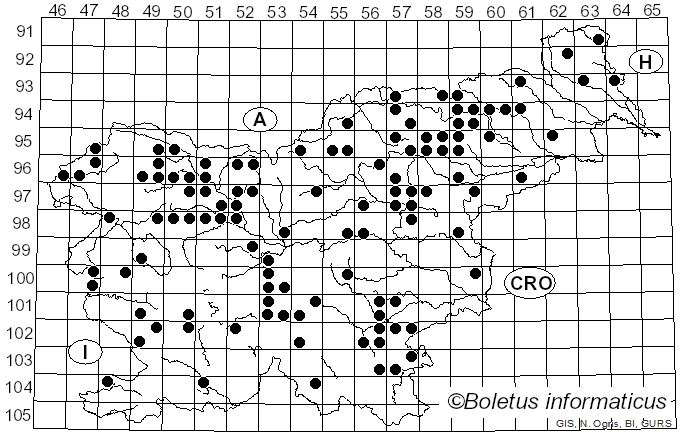 <i>Cortinarius camphoratus</i> (Fr.) Fr. (1838)