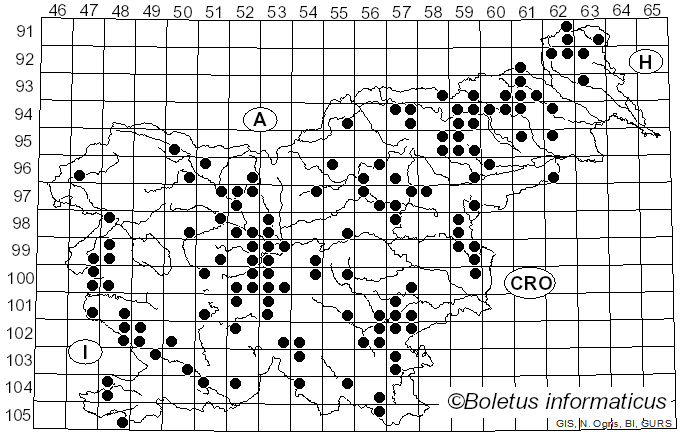 <i>Macrolepiota excoriata</i> (Schaeff.) M.M. Moser (1978)