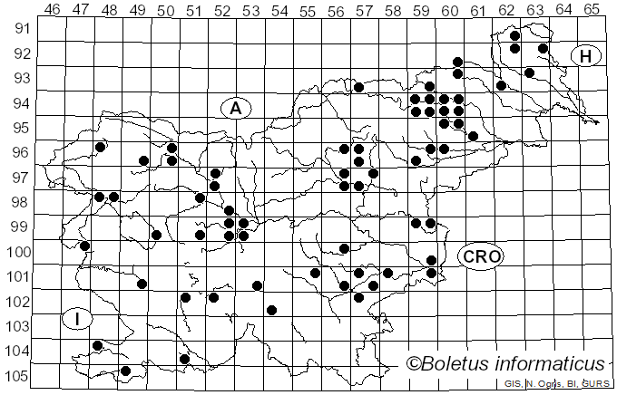 <i>Phellinus igniarius</i> (L.) Quél. (1886)