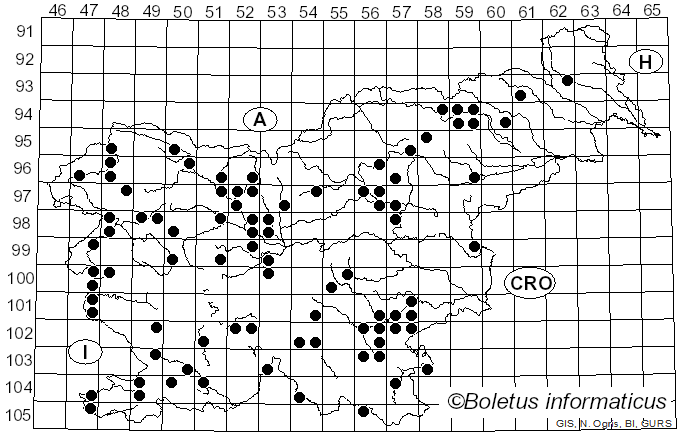 <i>Phellinus pomaceus</i> (Pers.) Maire (1933)