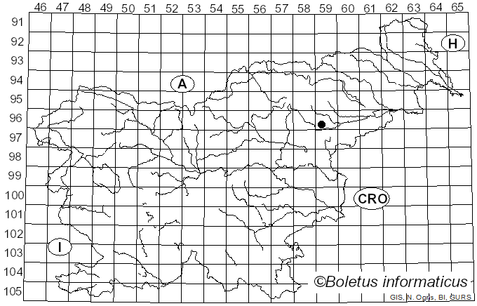 <i>Echinoderma rubellum</i> (Bres.) Migl. (2000)