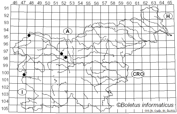 <i>Volvariella taylorii</i> (Berk. & Broome) Singer (1951)
