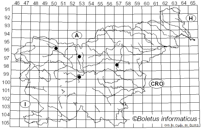 <i>Septoria chelidonii</i> Desm. (1842)