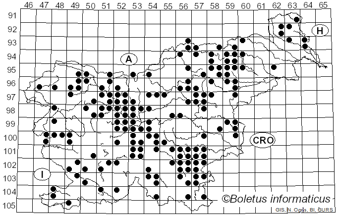 <i>Hypholoma capnoides</i> (Fr.) P. Kumm. (1971)