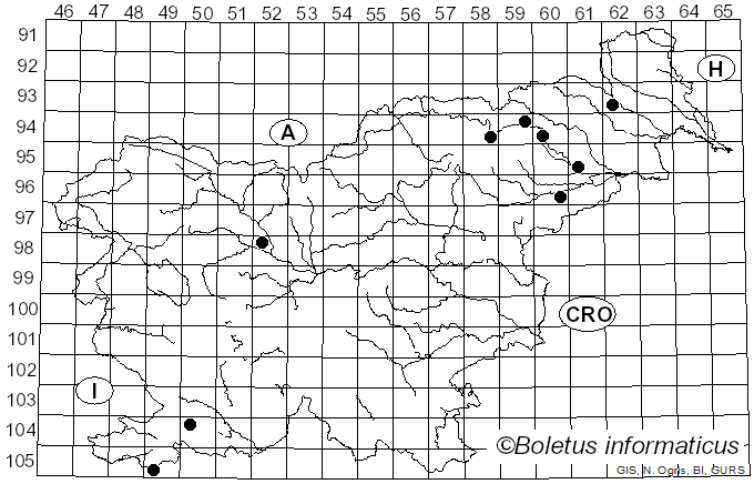 <i>Daldinia childiae</i> J.D. Rogers & Y.M. Ju (1999)