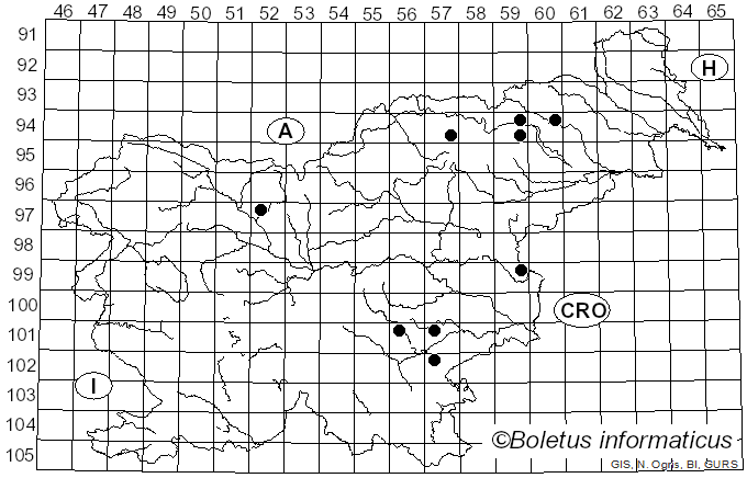 <i>Thaxterogaster emollitus</i> (Fr.) Niskanen & Liimat. (2022)