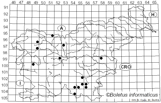 <i>Melampsorella caryophyllacearum</i> (DC.) J. Schröt. (1874)