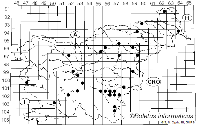 <i>Russula insignis</i> Quél. (1888)