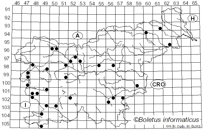 <i>Tulostoma brumale</i> Pers. (1794)