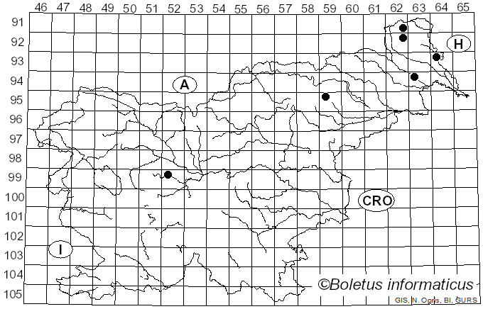 <i>Sillia</i> P. Karst. (1873)